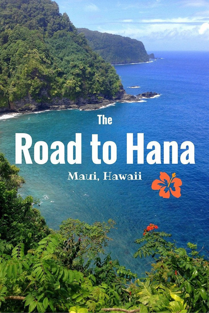 BONUS #1 - Free Inspirational Travel Book. Written by EPM - How to  Enrich Your Life Through Travel + The Road to Hana CD.